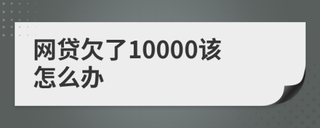 網(wǎng)貸欠了10000該怎么辦