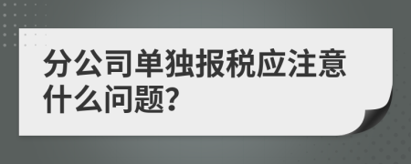分公司單獨報稅應(yīng)注意什么問題？