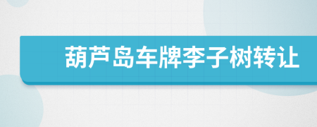 葫蘆島車(chē)牌李子樹(shù)轉(zhuǎn)讓