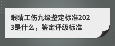 眼睛工傷九級(jí)鑒定標(biāo)準(zhǔn)2023是什么，鑒定評(píng)級(jí)標(biāo)準(zhǔn)