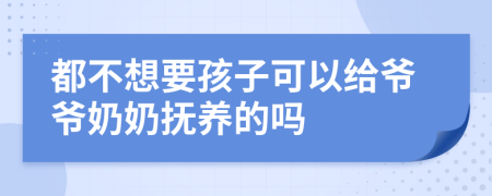 都不想要孩子可以給爺爺奶奶撫養(yǎng)的嗎