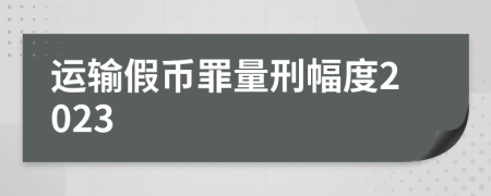 運輸假幣罪量刑幅度2023