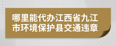哪里能代辦江西省九江市環(huán)境保護(hù)縣交通違章