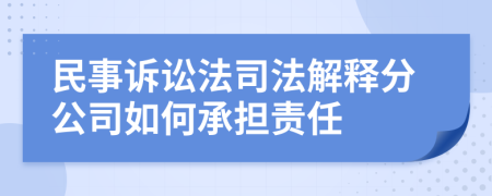 民事訴訟法司法解釋分公司如何承擔(dān)責(zé)任