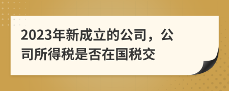 2023年新成立的公司，公司所得稅是否在國(guó)稅交