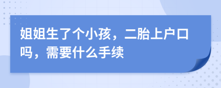 姐姐生了個(gè)小孩，二胎上戶(hù)口嗎，需要什么手續(xù)