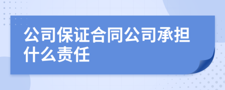 公司保證合同公司承擔(dān)什么責(zé)任