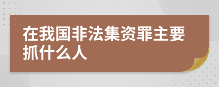 在我國(guó)非法集資罪主要抓什么人