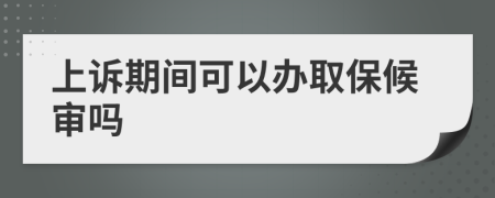 上訴期間可以辦取保候?qū)弳?>
                </a>
            </div>
            <div   id=