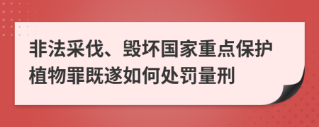 非法采伐、毀壞國家重點保護植物罪既遂如何處罰量刑