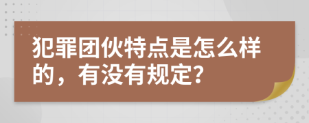 犯罪團伙特點是怎么樣的，有沒有規(guī)定？