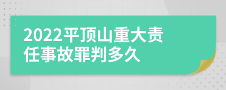 2022平頂山重大責(zé)任事故罪判多久