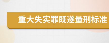 重大失實罪既遂量刑標(biāo)準(zhǔn)