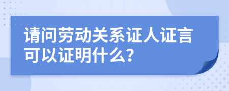 請問勞動關(guān)系證人證言可以證明什么？
