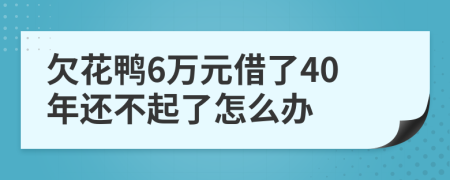 欠花鴨6萬元借了40年還不起了怎么辦