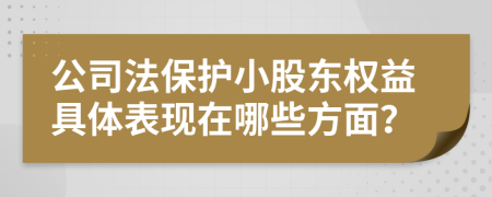 公司法保護(hù)小股東權(quán)益具體表現(xiàn)在哪些方面？