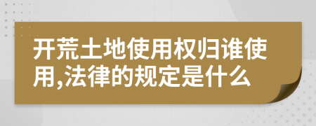 開荒土地使用權(quán)歸誰使用,法律的規(guī)定是什么