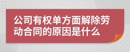 公司有權(quán)單方面解除勞動(dòng)合同的原因是什么