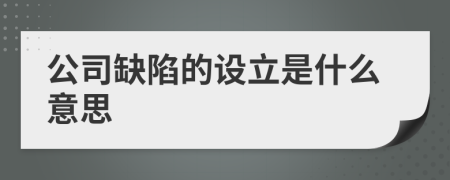 公司缺陷的設立是什么意思