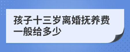 孩子十三歲離婚撫養(yǎng)費(fèi)一般給多少