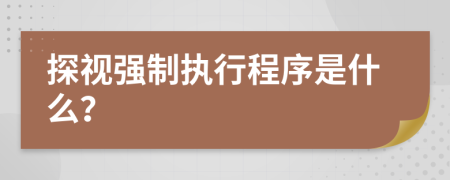 探視強(qiáng)制執(zhí)行程序是什么？
