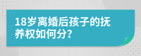 18歲離婚后孩子的撫養(yǎng)權如何分？