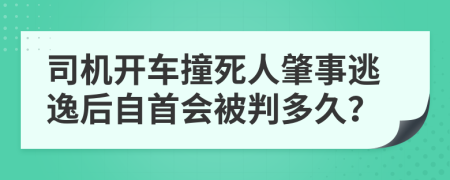 司機開車撞死人肇事逃逸后自首會被判多久？