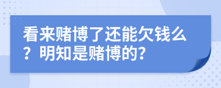 看來賭博了還能欠錢么？明知是賭博的？