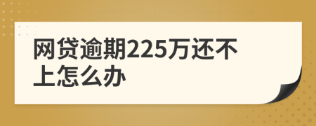 網(wǎng)貸逾期225萬還不上怎么辦