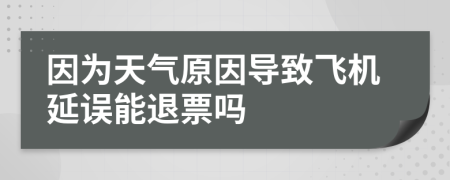 因?yàn)樘鞖庠驅(qū)е嘛w機(jī)延誤能退票嗎