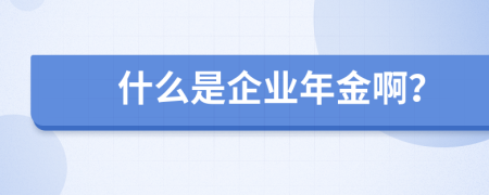 什么是企業(yè)年金啊？