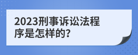 2023刑事訴訟法程序是怎樣的？
