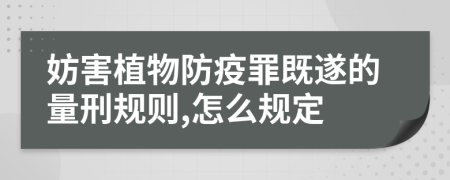 妨害植物防疫罪既遂的量刑規(guī)則,怎么規(guī)定