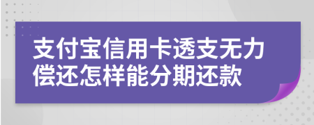 支付寶信用卡透支無力償還怎樣能分期還款