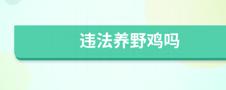 違法養(yǎng)野雞嗎