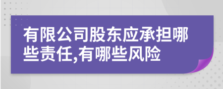 有限公司股東應(yīng)承擔(dān)哪些責(zé)任,有哪些風(fēng)險(xiǎn)