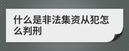 什么是非法集資從犯怎么判刑