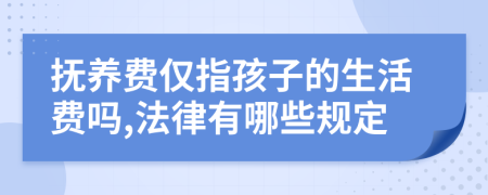 撫養(yǎng)費僅指孩子的生活費嗎,法律有哪些規(guī)定