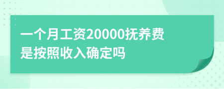 一個(gè)月工資20000撫養(yǎng)費(fèi)是按照收入確定嗎