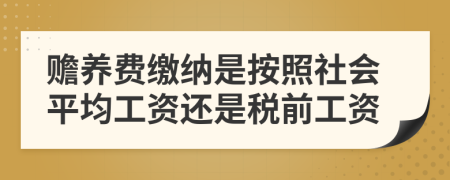 贍養(yǎng)費(fèi)繳納是按照社會平均工資還是稅前工資