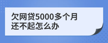欠網貸5000多個月還不起怎么辦