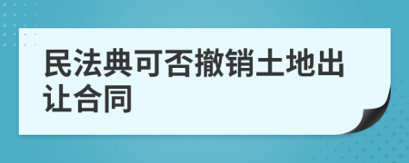 民法典可否撤銷土地出讓合同
