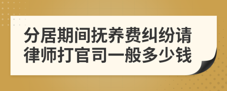 分居期間撫養(yǎng)費糾紛請律師打官司一般多少錢