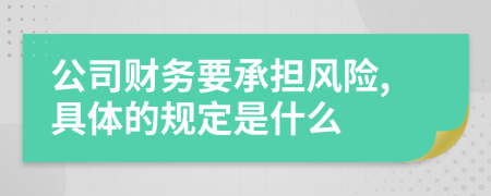 公司財務要承擔風險,具體的規(guī)定是什么