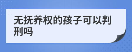 無撫養(yǎng)權(quán)的孩子可以判刑嗎
