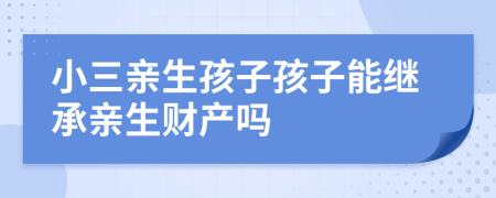 小三親生孩子孩子能繼承親生財(cái)產(chǎn)嗎