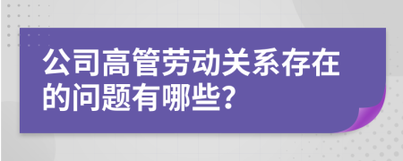 公司高管勞動(dòng)關(guān)系存在的問(wèn)題有哪些？