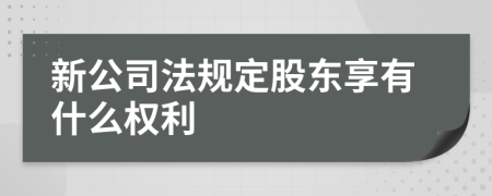 新公司法規(guī)定股東享有什么權(quán)利