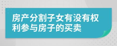 房產(chǎn)分割子女有沒有權(quán)利參與房子的買賣