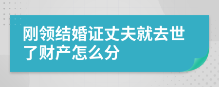 剛領(lǐng)結(jié)婚證丈夫就去世了財(cái)產(chǎn)怎么分
